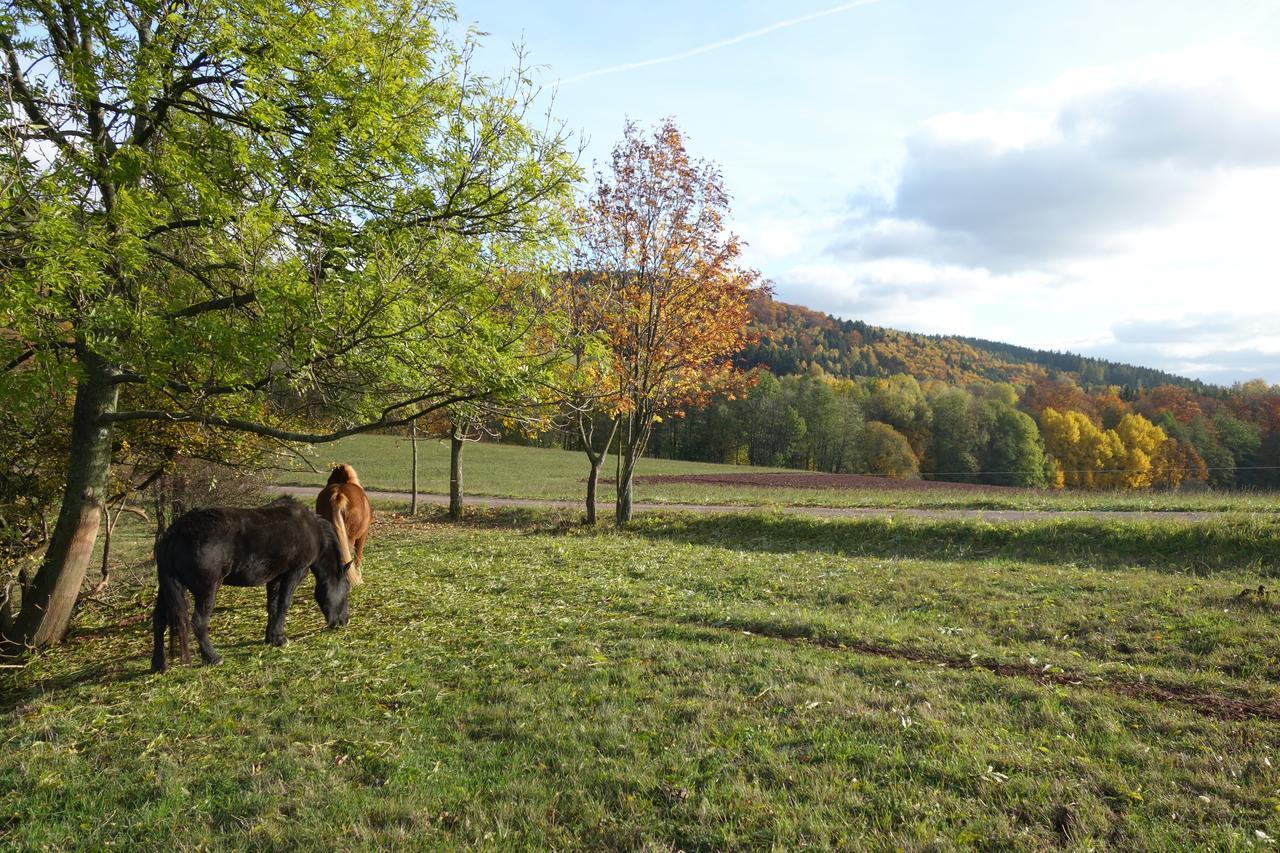 Vila Maushaus Rudník Exteriér fotografie